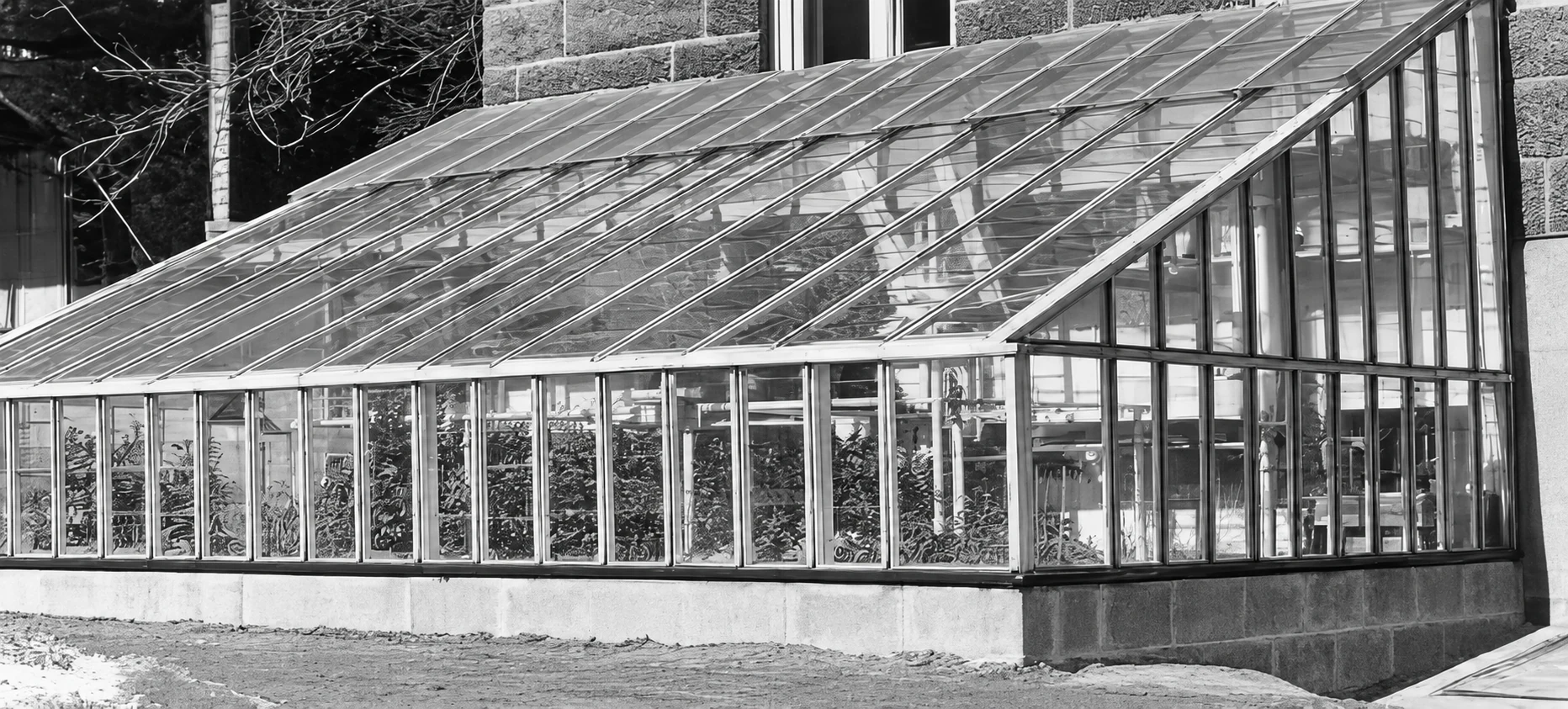 Greenhouse, 1962