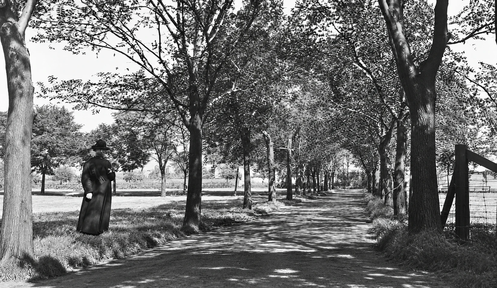 Cemetery path