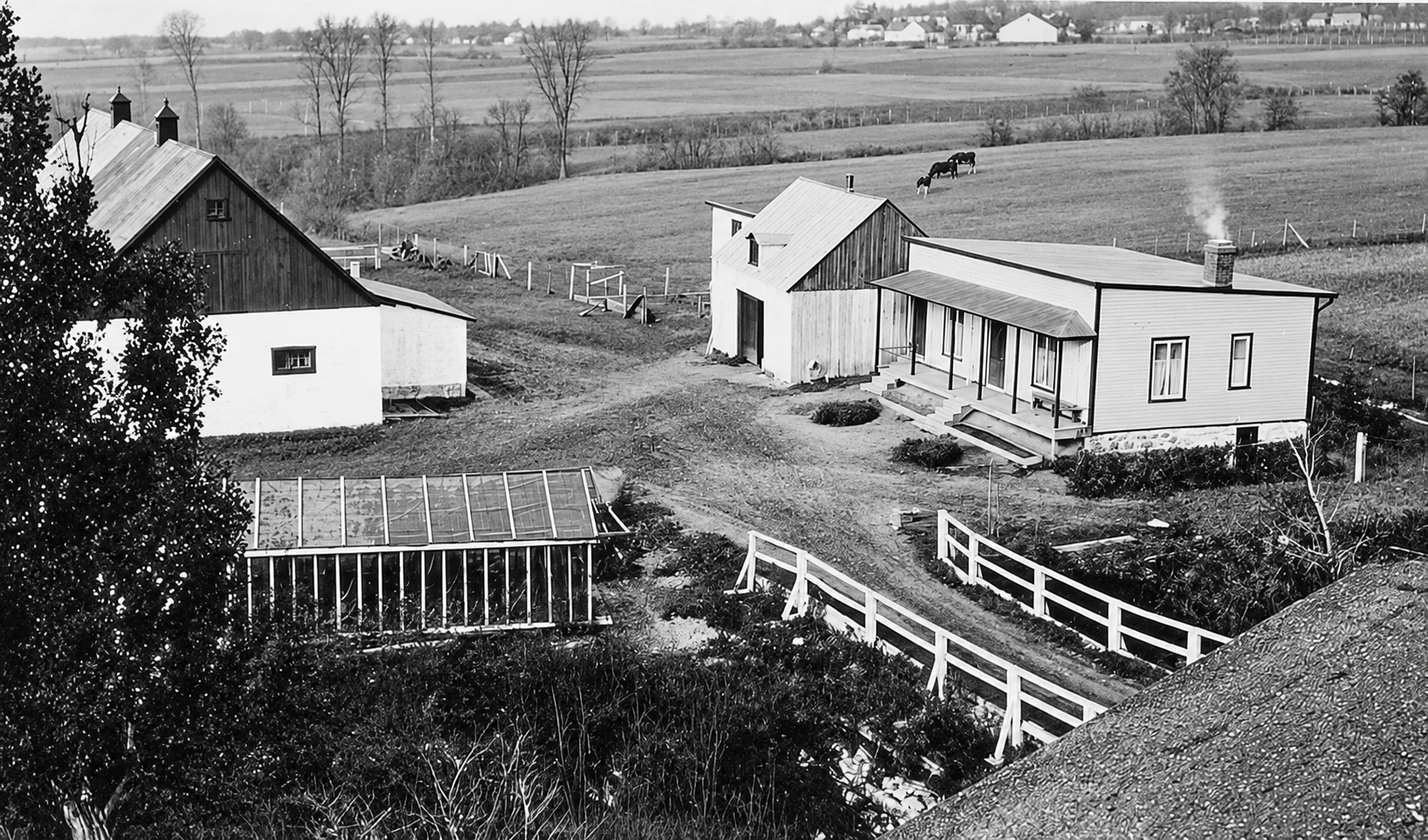 The farm